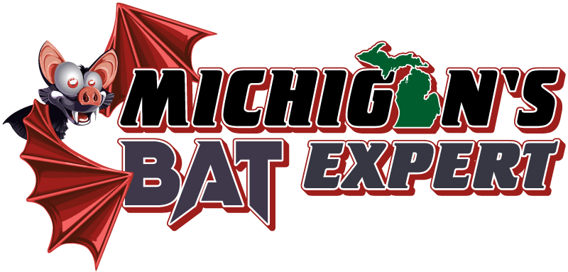 Michigan's Bat Expert